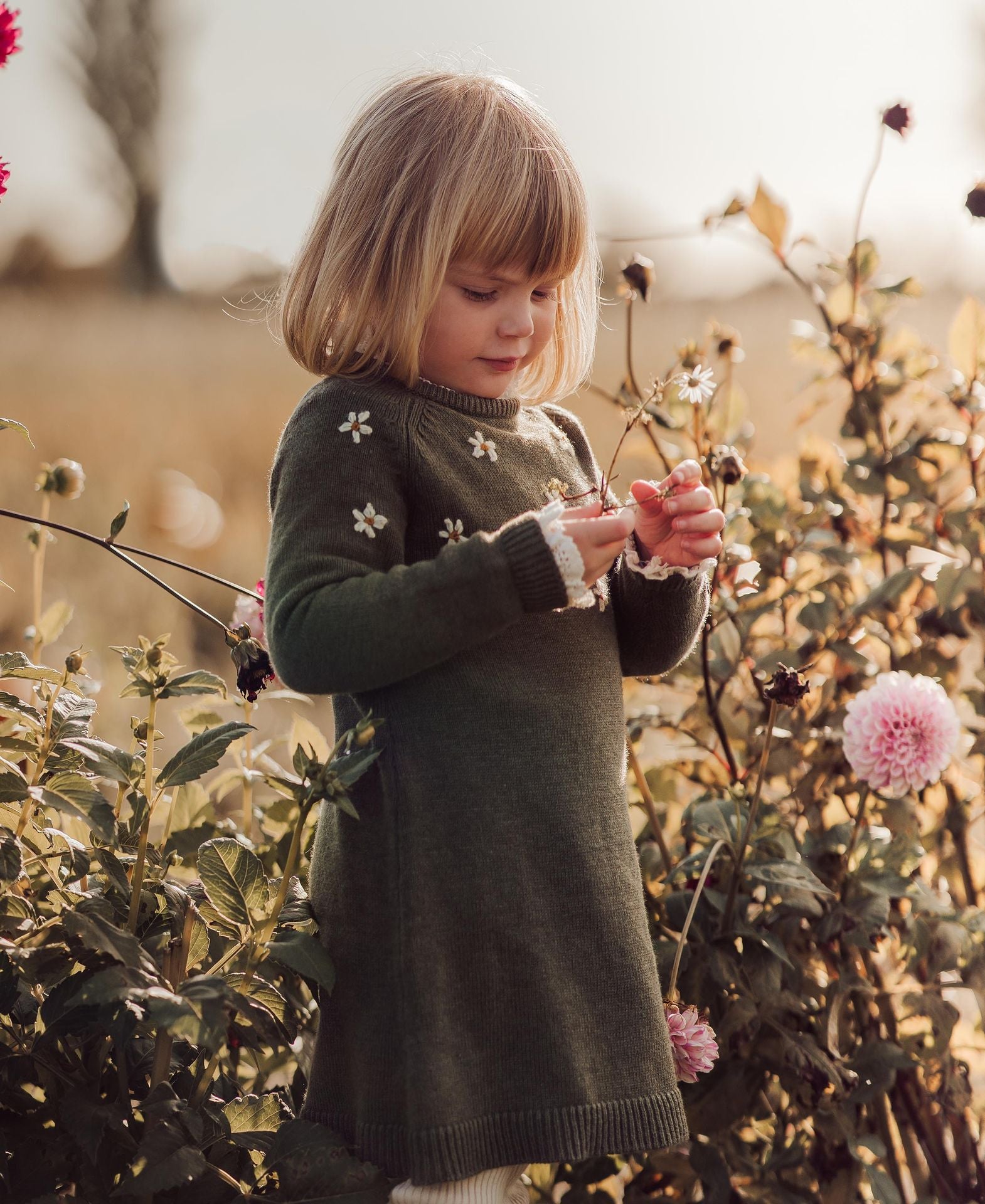 DAISY HAND bróderaður kjóll